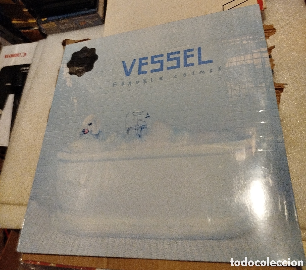 Discos de vinilo: Frankie Cosmos&nbsp;&ndash;&nbsp;Vessel .SIN ABRIR - Foto 1