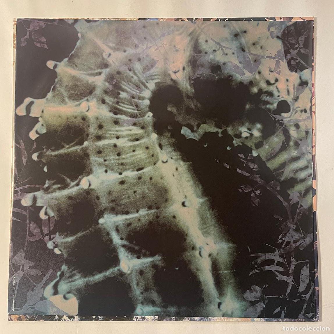 Discos de vinilo: HORSE - THE SAME SKY / LP CAPITOL 1990 / UK - Foto 3