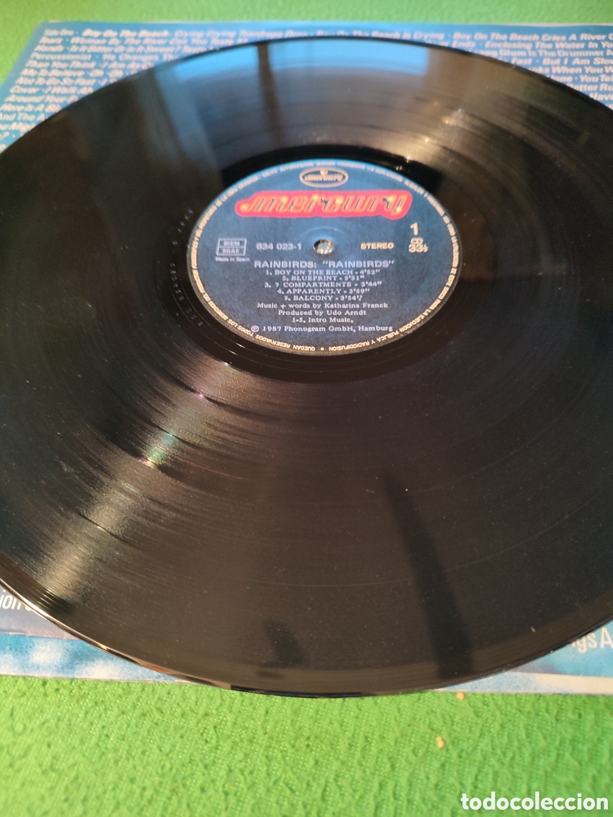 Discos de vinilo: Rainbirds - Rainbirds vinilo Lp 1988 - Foto 3