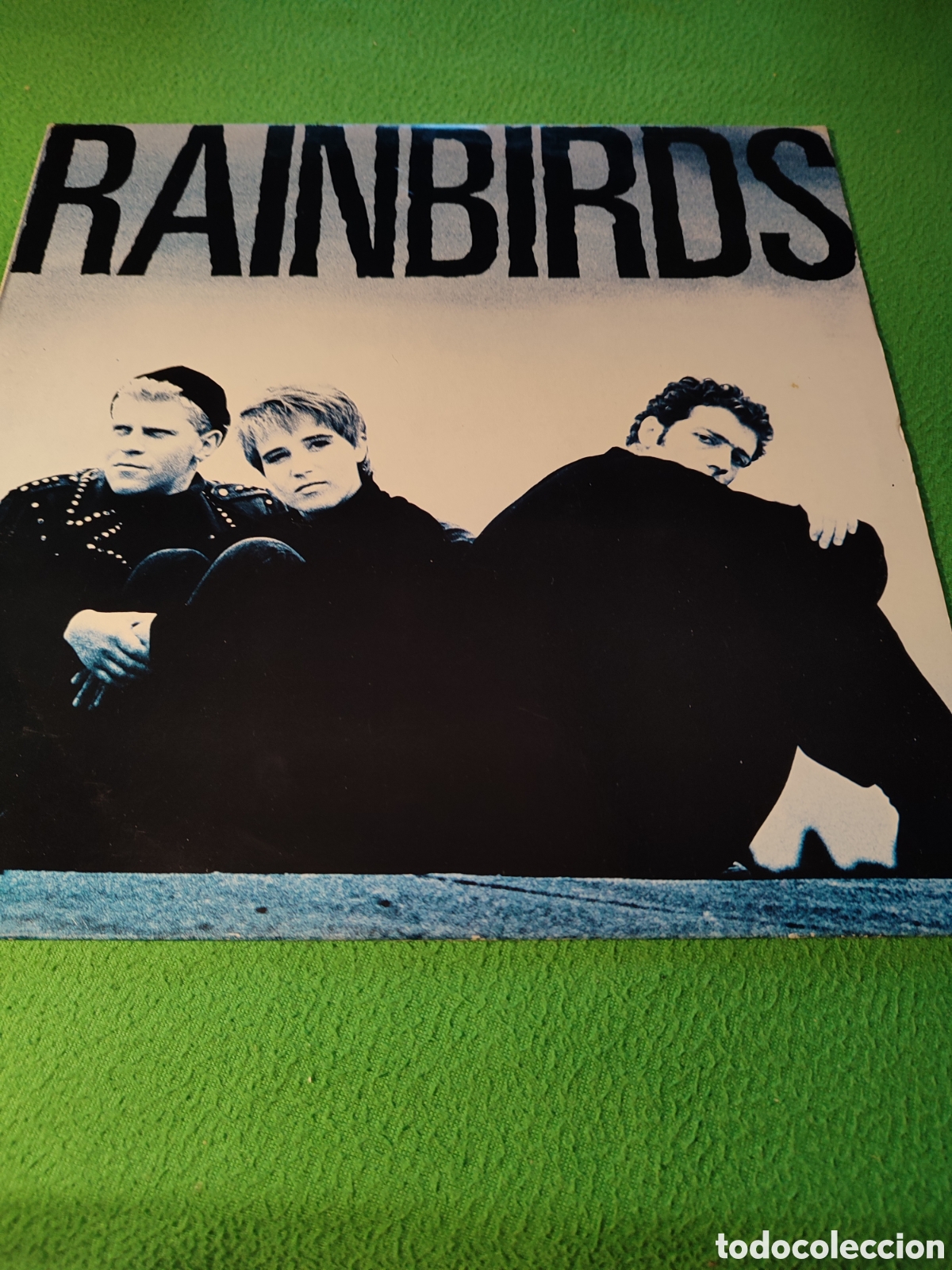 Discos de vinilo: Rainbirds - Rainbirds vinilo Lp 1988 - Foto 1