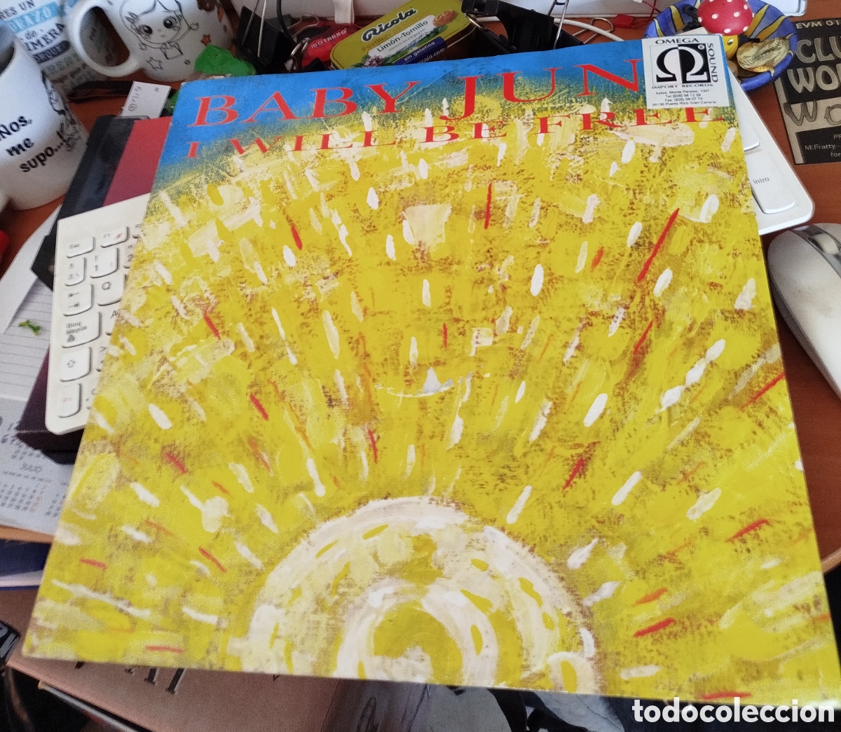Discos de vinilo: Baby June&nbsp;&lrm;&ndash;&nbsp;I Will Be Free - Foto 1