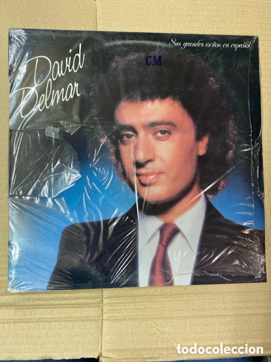 Discos de vinilo: LP DAVID DELMAR. SUS GRANDES &Eacute;XITOS EN ESPA&Ntilde;OL. - Foto 1