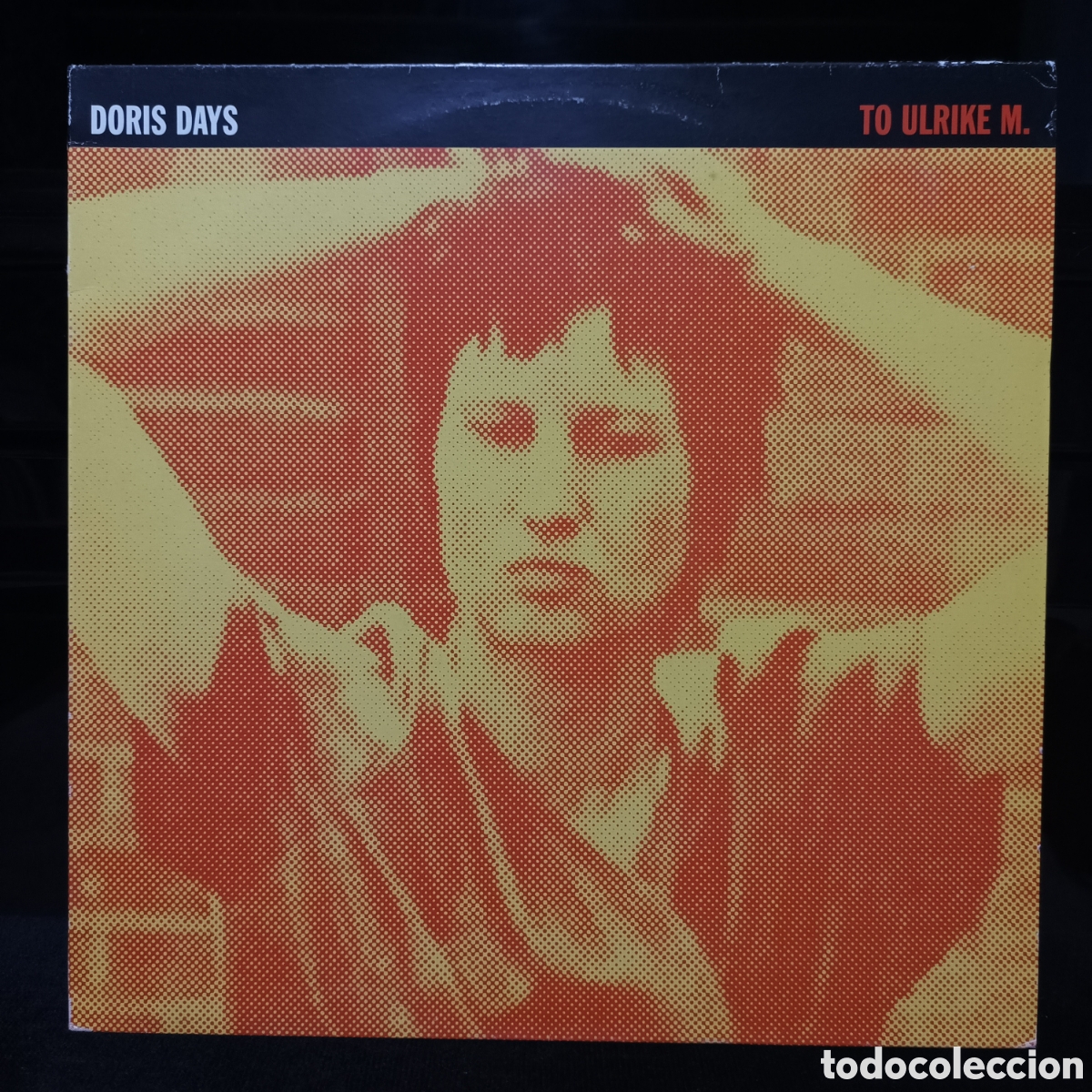 Discos de vinilo: Doris Days - To Ulrike M. 1998 UK - Foto 1