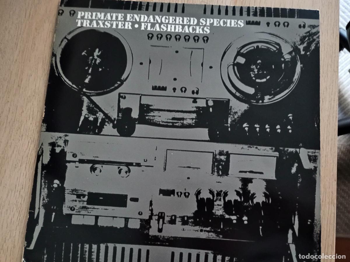 Discos de vinilo: Traxster &lrm;&ndash; Flashbacks UK 2002 Electronic Tribal, Techno, Breakbeat - Foto 2
