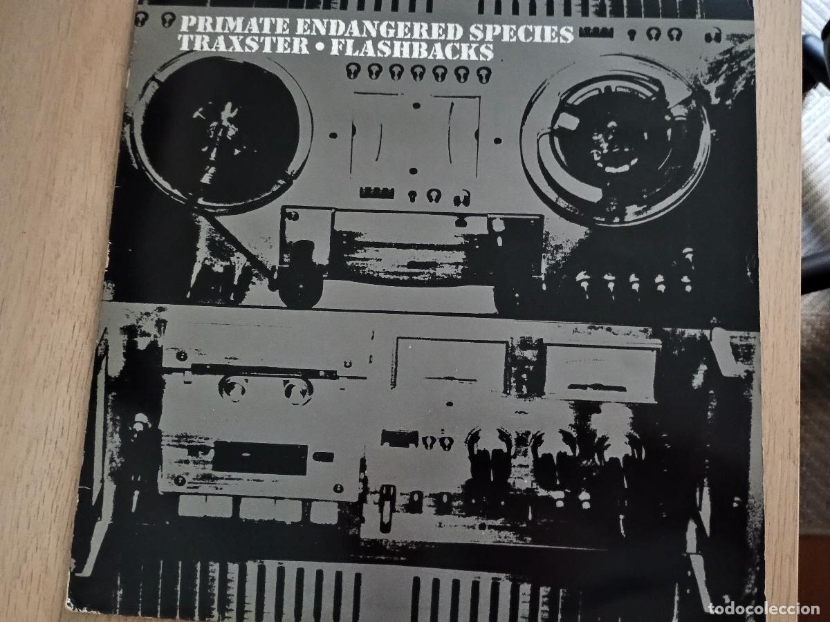 Discos de vinilo: Traxster &lrm;&ndash; Flashbacks UK 2002 Electronic Tribal, Techno, Breakbeat - Foto 1