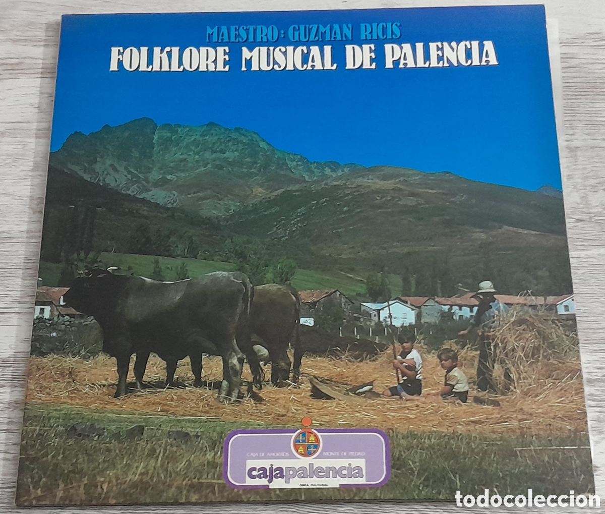 Discos de vinilo: FOLKLORE MUSICAL DE PALENCIA - DIR. GUZMAN RICIS - GATEFOLD - Foto 1