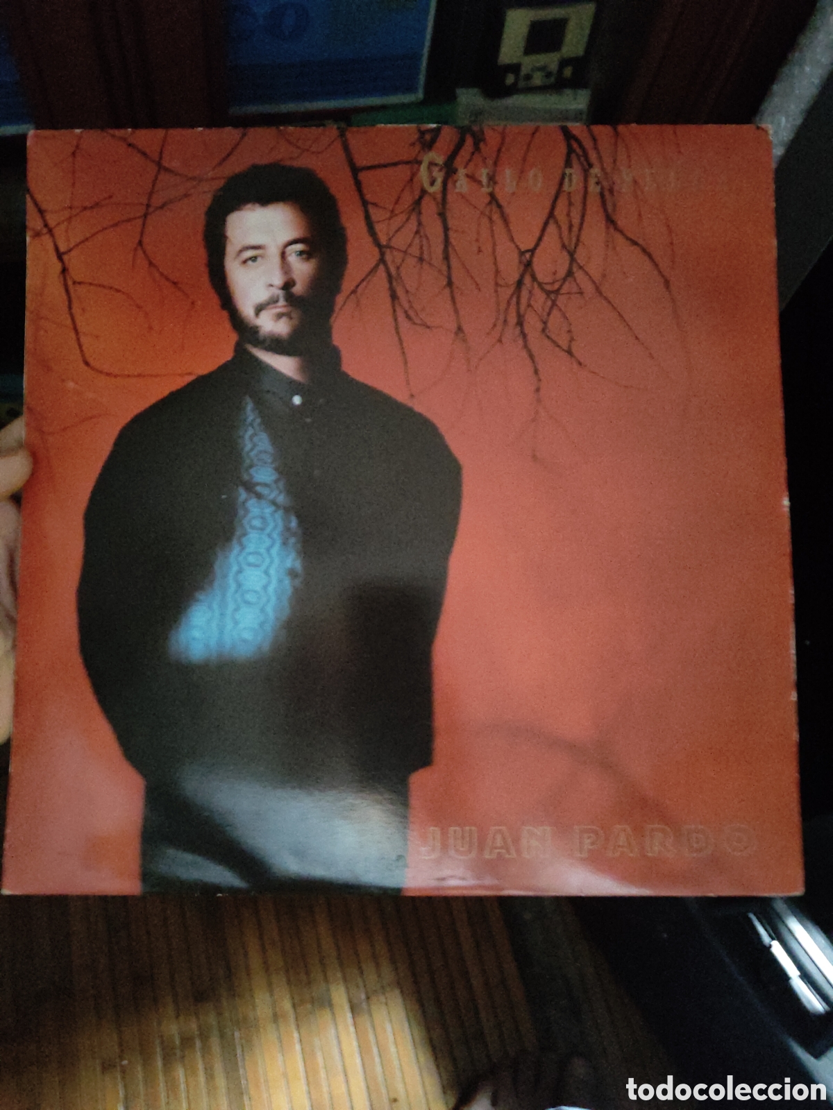 Discos de vinilo: JUAN PARDO -GALLO DE PELEA - Foto 1