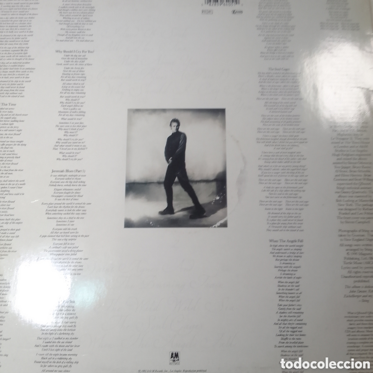 Discos de vinilo: Sting The Soul Caged - Foto 2
