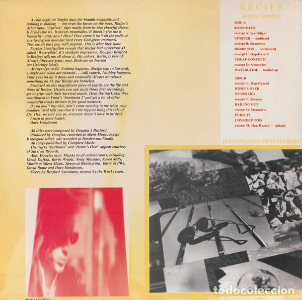 Discos de vinilo: Recipe &ndash; Skinny-Dipping - Foto 2