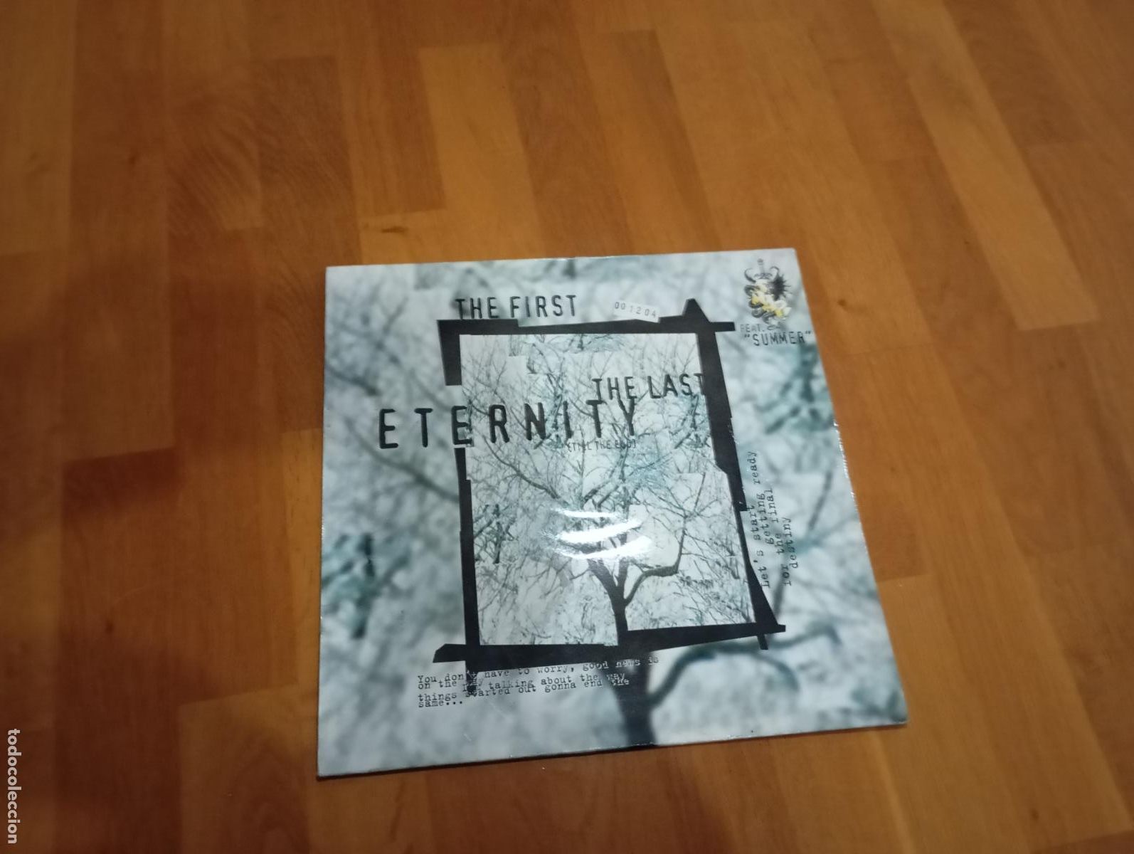 Discos de vinilo: Snap! Feat. Summer &ndash; The First The Last Eternity.maxi - Foto 1