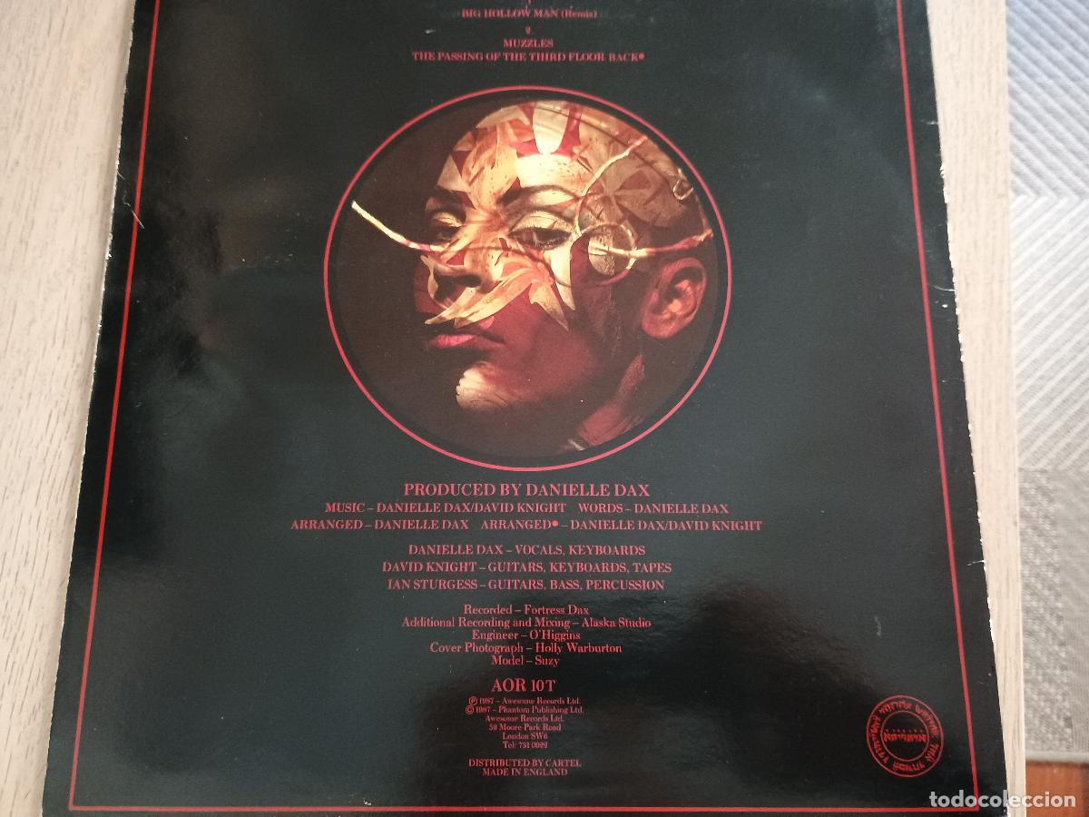 Discos de vinilo: Danielle Dax Big Hollow Man, uk 1987 - Foto 4
