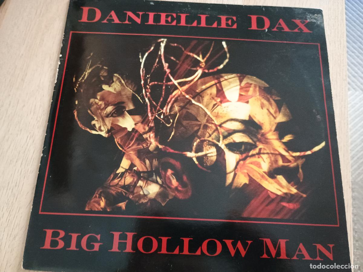 Discos de vinilo: Danielle Dax Big Hollow Man, uk 1987 - Foto 1