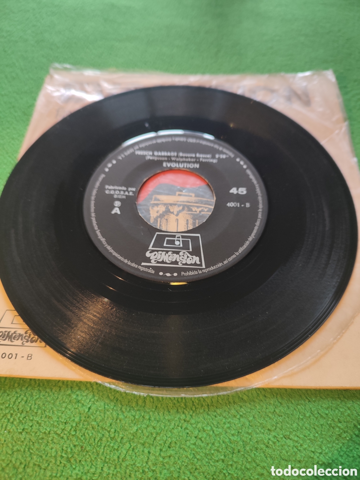 Discos de vinilo: Evolution - Fresh garbage - You Dont Love me - Foto 4