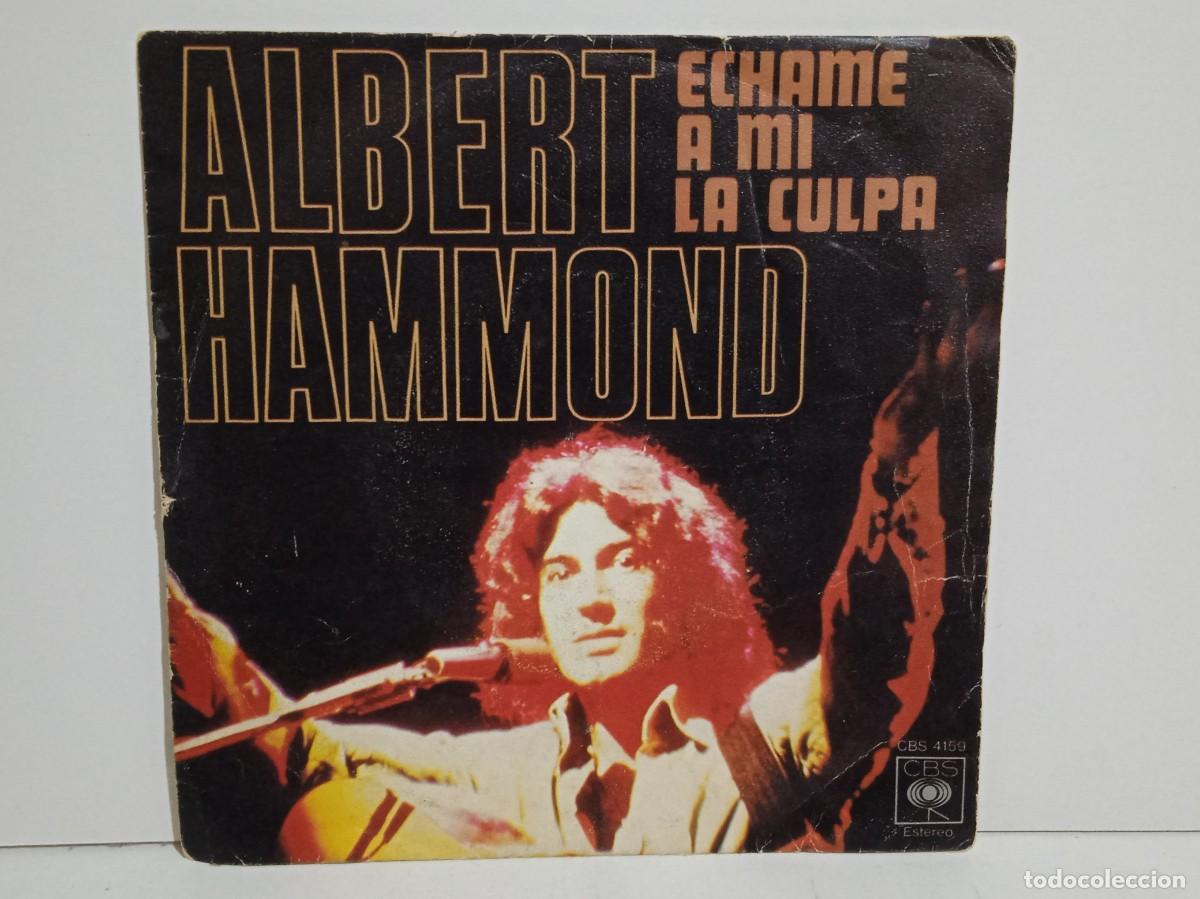 Discos de vinilo: Albert Hammond - Echame A Mi La Culpa - Single - 1976 - Spain - Foto 1