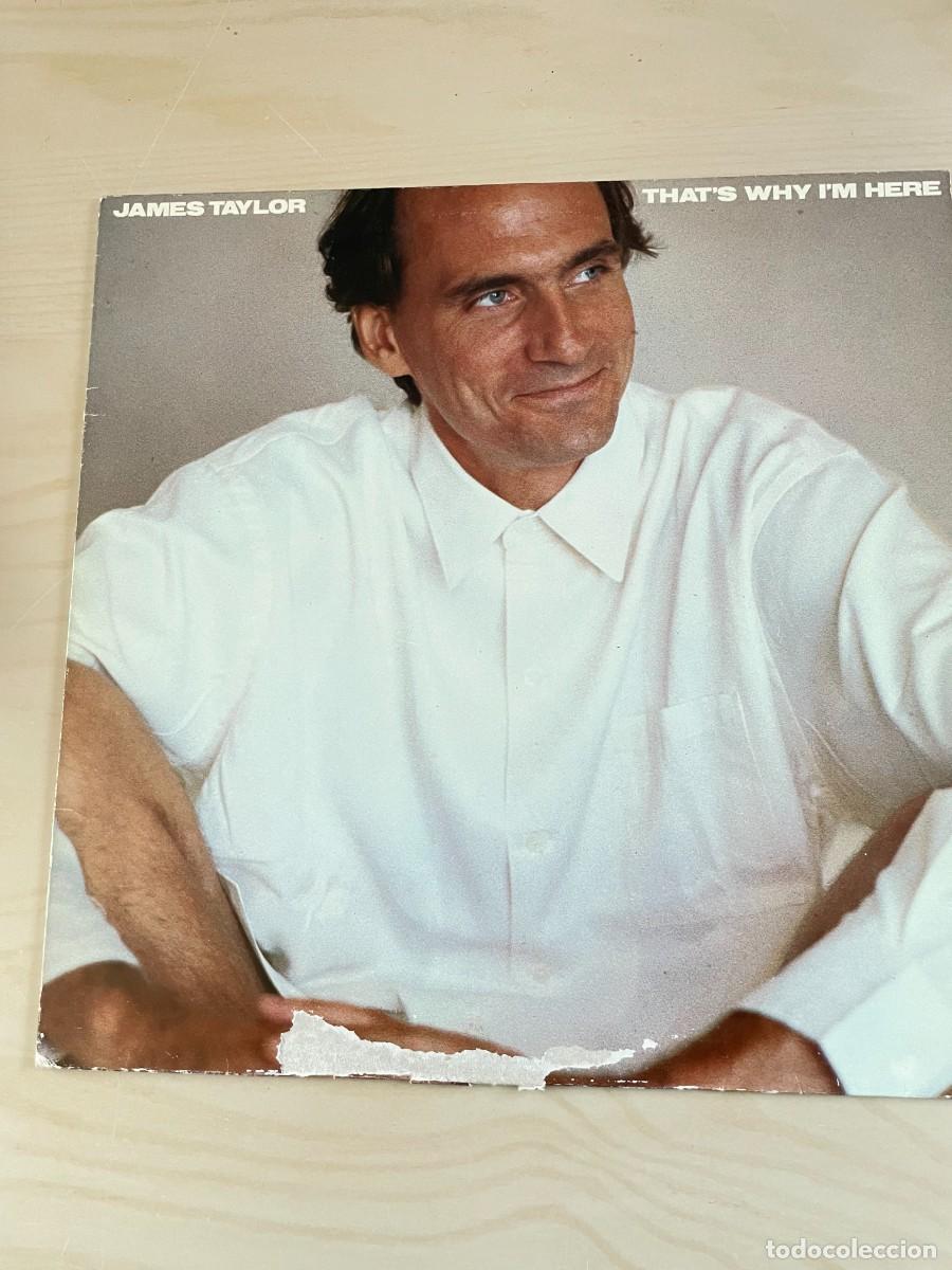 Discos de vinilo: LP James Taylor Thats why Im here - Foto 1