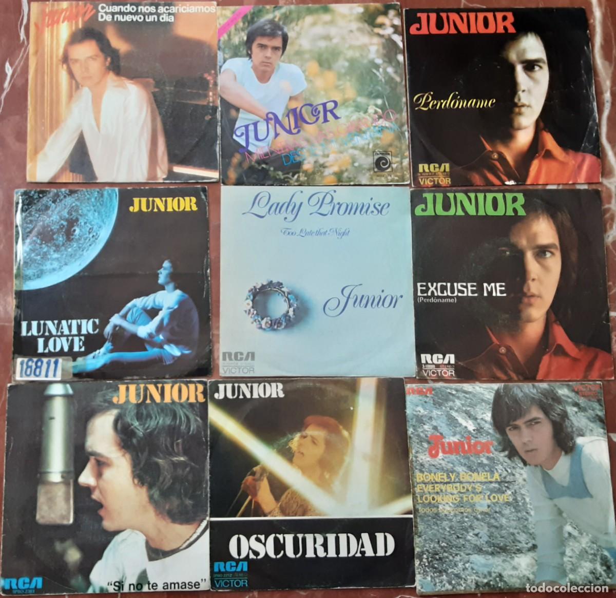 Discos de vinilo: Lote de 9 singles de Junior - Foto 1