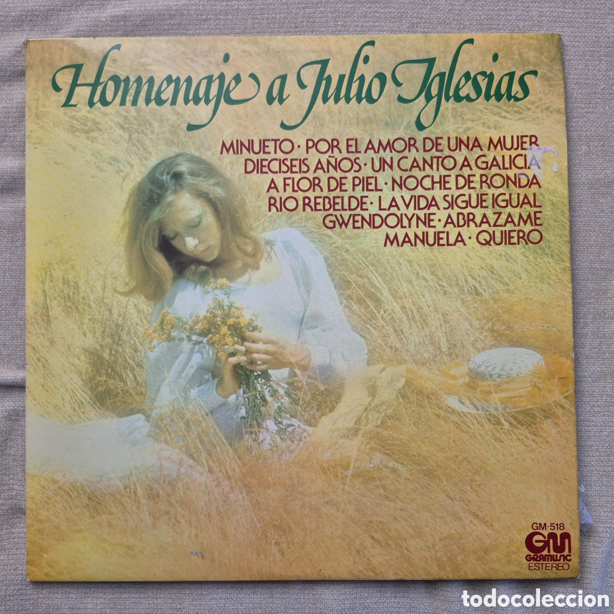 Discos de vinilo: Disco vinilo homenaje a Julio Iglesias - Foto 1