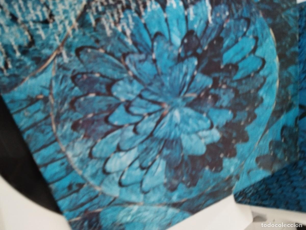 Discos de vinilo: Santana &ndash; Borboletta. Lp. - Foto 5