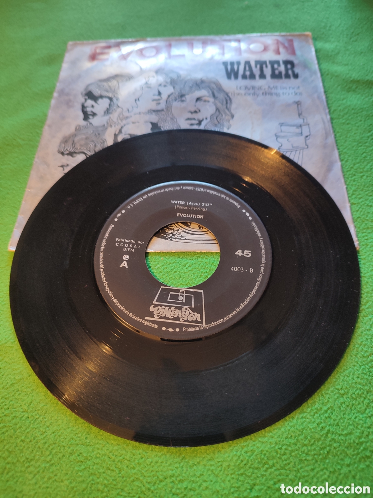 Discos de vinilo: Evolution - Water -Loving me - Foto 3