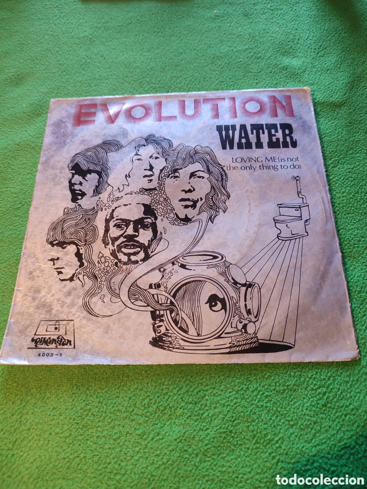 Discos de vinilo: Evolution - Water -Loving me - Foto 1