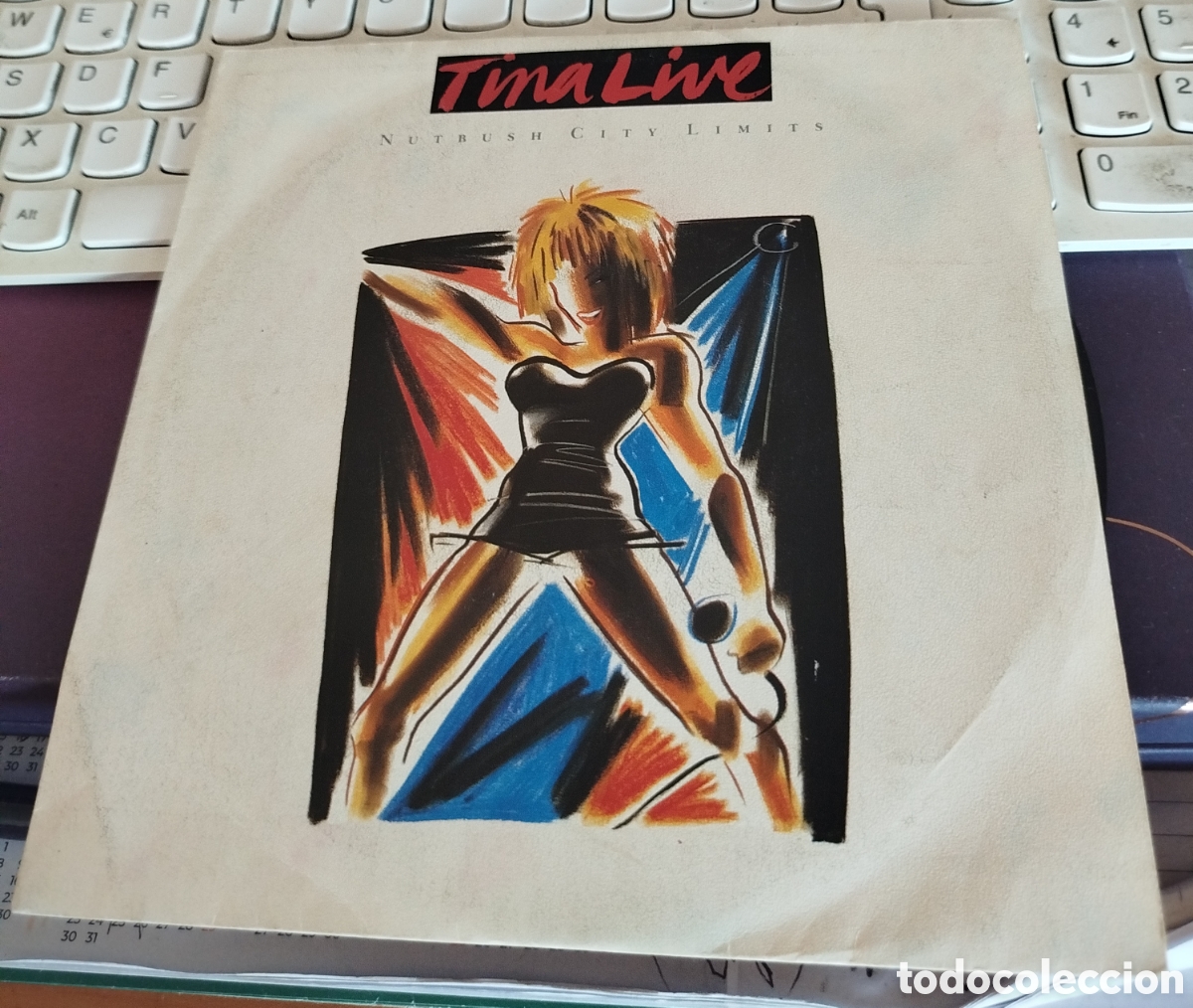Discos de vinilo: Tina Turner &lrm;&ndash; Nutbush City Limits - Foto 1