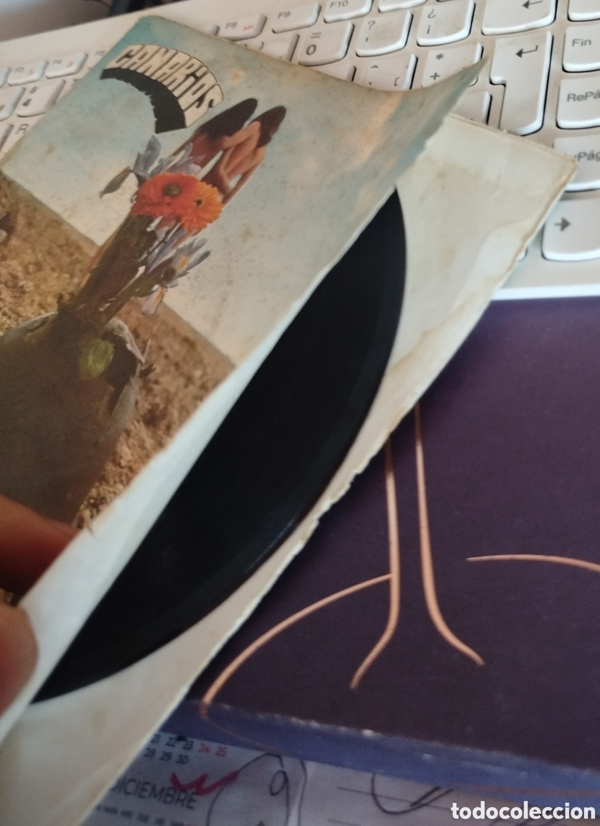 Discos de vinilo: Canarios - Reacci&oacute;n . - Foto 2