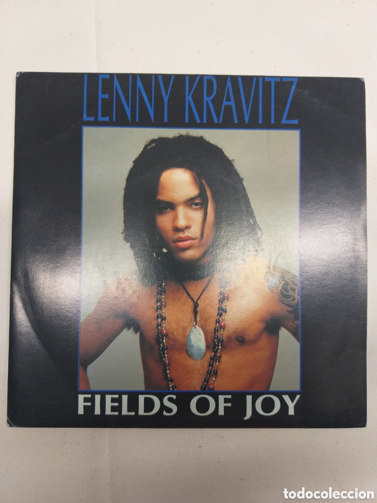 Discos de vinilo: Lenny Kravitz &ndash; Fields Of Joy. - Foto 1