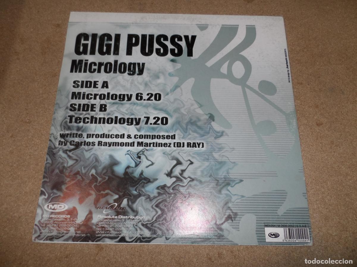 Discos de vinilo: Gigi Pussy &ndash; Micrology (SPAIN 2002) - Foto 2