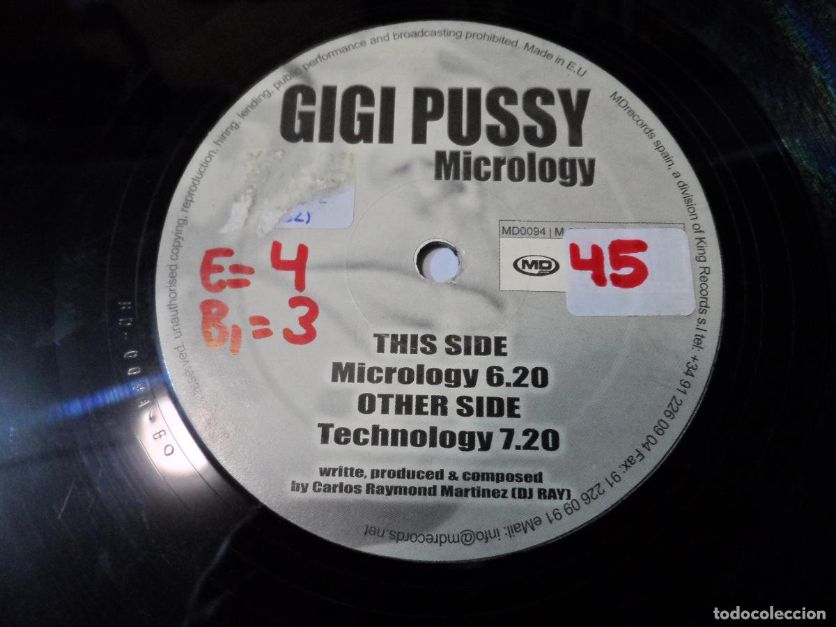 Discos de vinilo: Gigi Pussy &ndash; Micrology (SPAIN 2002) - Foto 3