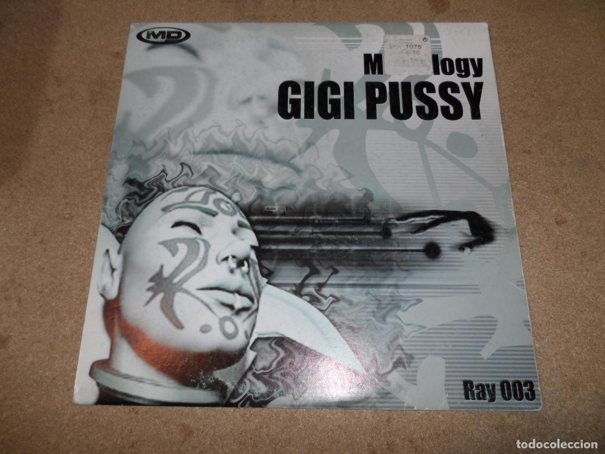 Discos de vinilo: Gigi Pussy &ndash; Micrology (SPAIN 2002) - Foto 1