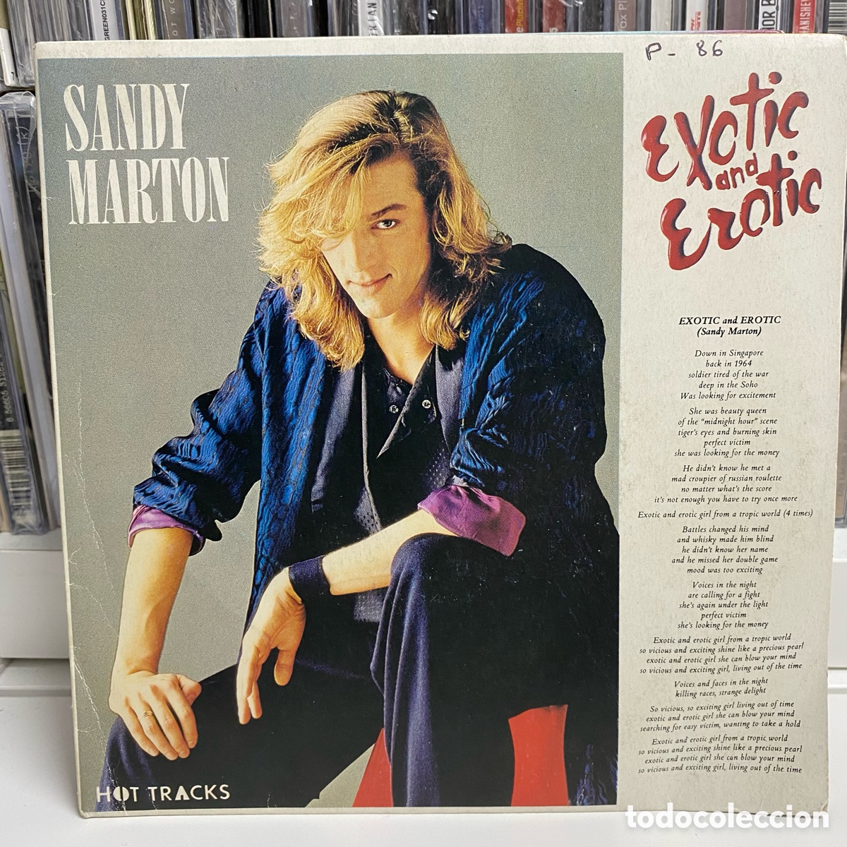 Discos de vinilo: Sandy Marton - Exotic And Erotic (Single) - Foto 1