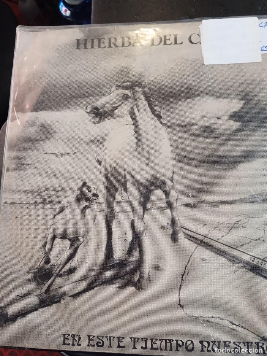 Discos de vinilo: HIERBA DEL CAMPO- EN ESTE TIEMPO NUESTRO. LP - Foto 1
