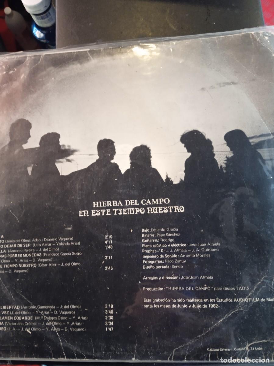 Discos de vinilo: HIERBA DEL CAMPO- EN ESTE TIEMPO NUESTRO. LP - Foto 2