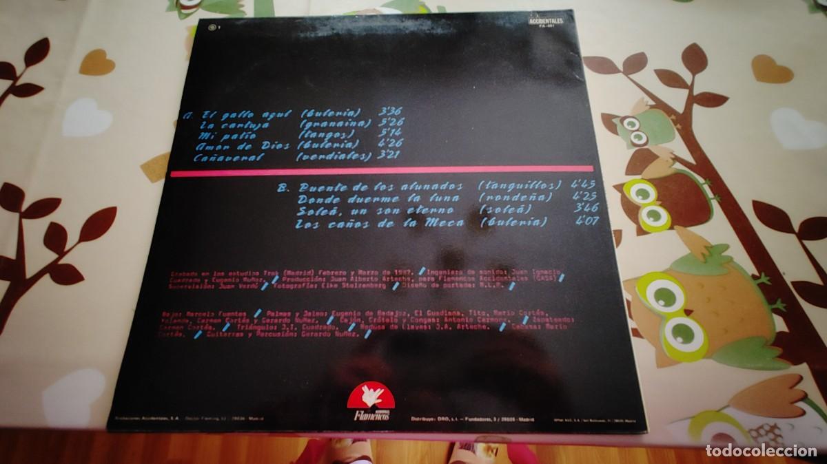 Discos de vinilo: GERARDO NU&Ntilde;EZ-LP EL GALLO AZUL - Foto 3