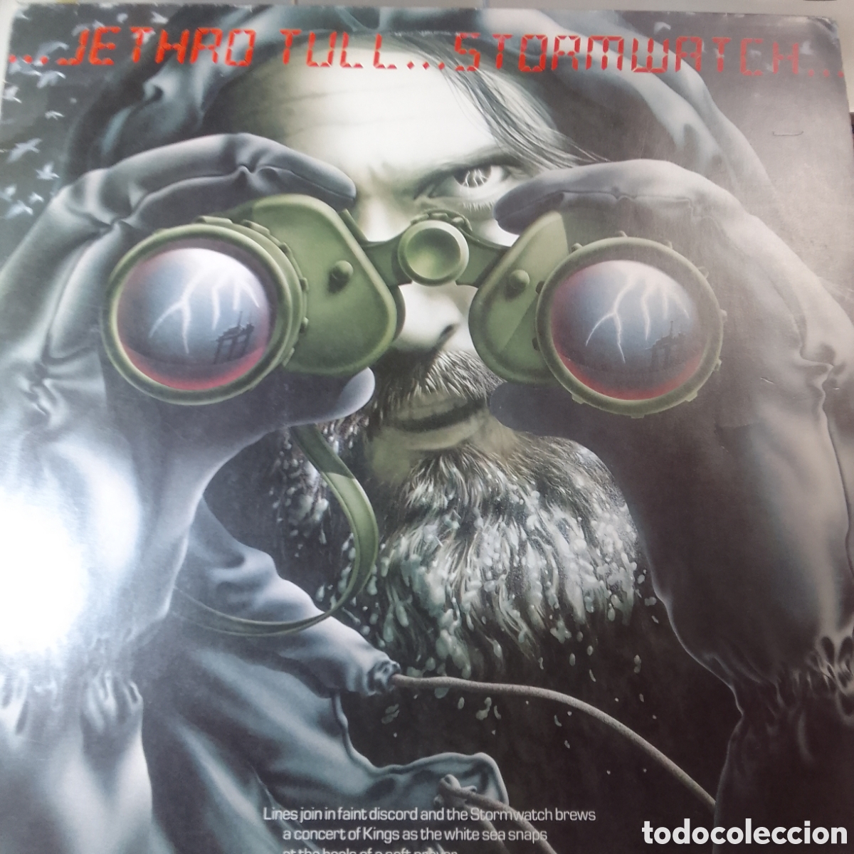 Discos de vinilo: JETHRO TULL STORMWATCH - Foto 1