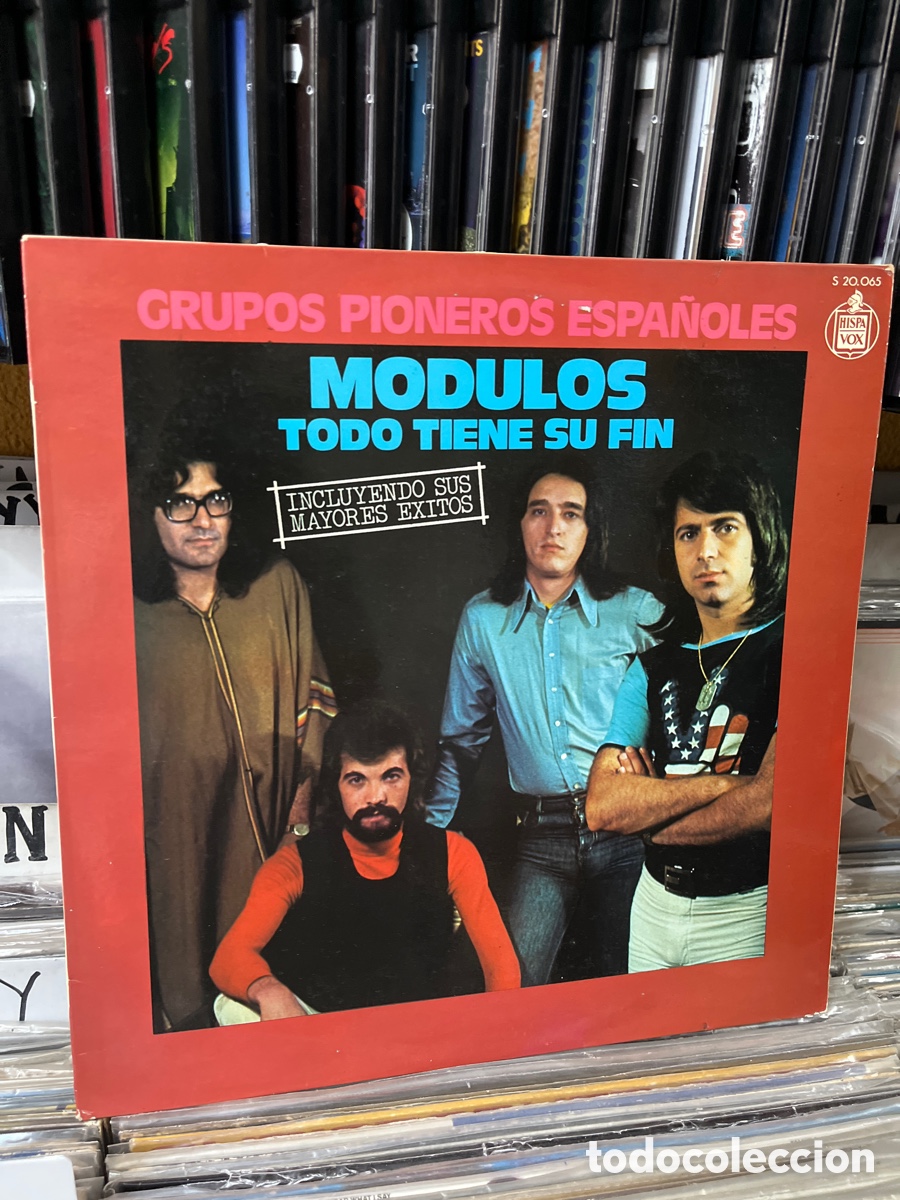 Discos de vinilo: m&oacute;dulos todo tiene su fin - Foto 1