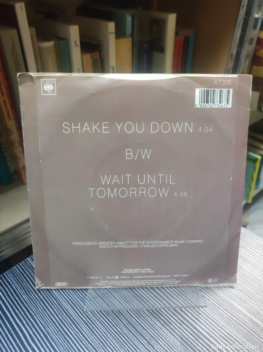 Discos de vinilo: Gregory Abbott &ndash; Shake You Down - Foto 2