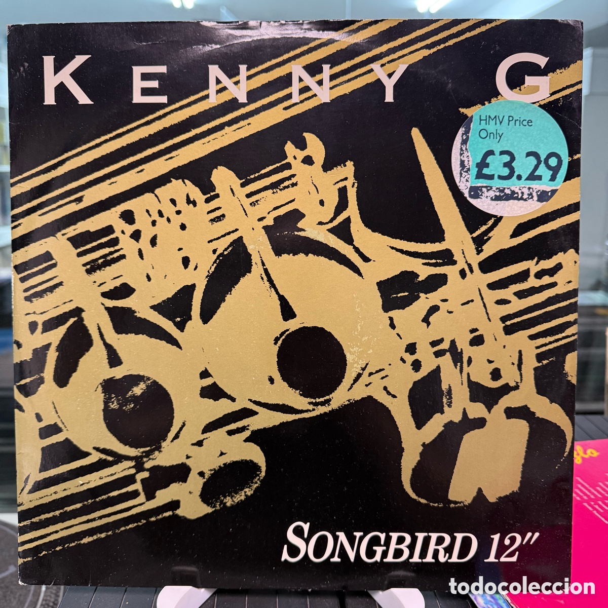 Discos de vinilo: Kenny G - Songbird (Maxi) - Foto 1