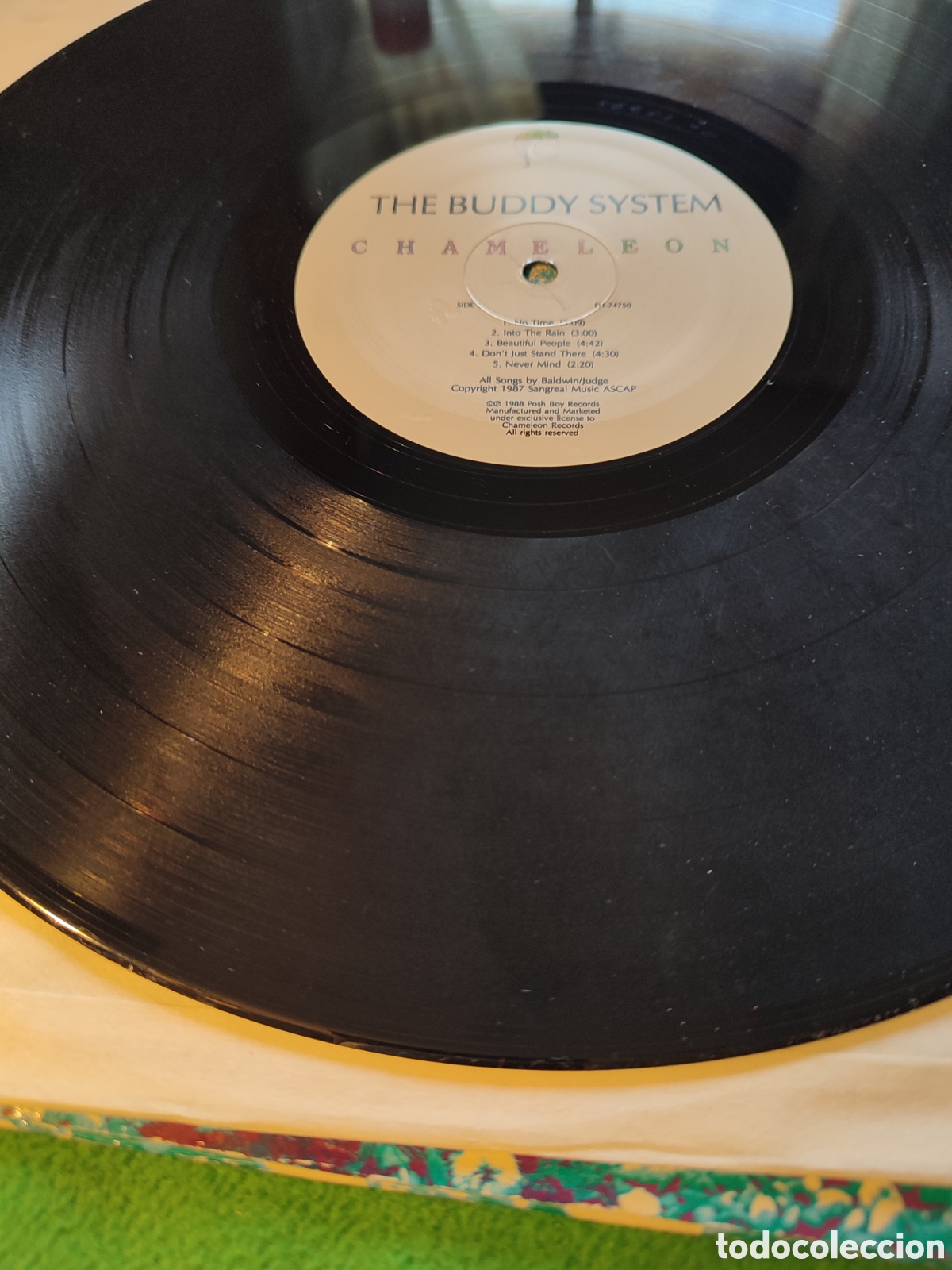Discos de vinilo: The Buddy System - The Buddy System - Foto 3