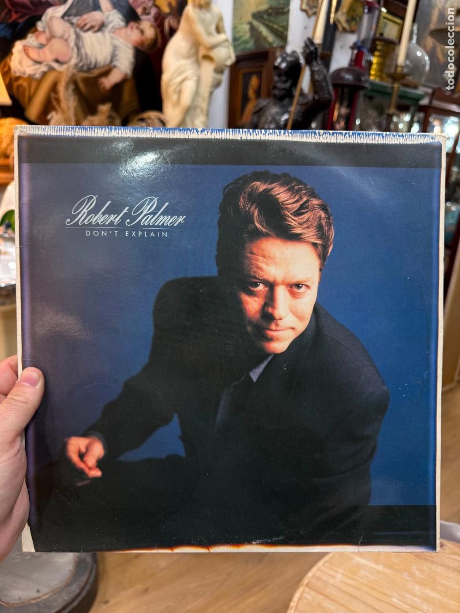 Discos de vinilo: LP ROBERT PALMER - DON&acute;T EXPLAIN - Foto 1