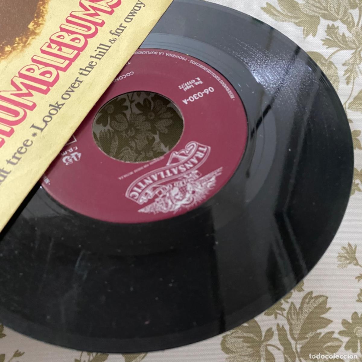 Discos de vinilo: THE HUMBLEBUMS COCONUT TREE - Foto 3