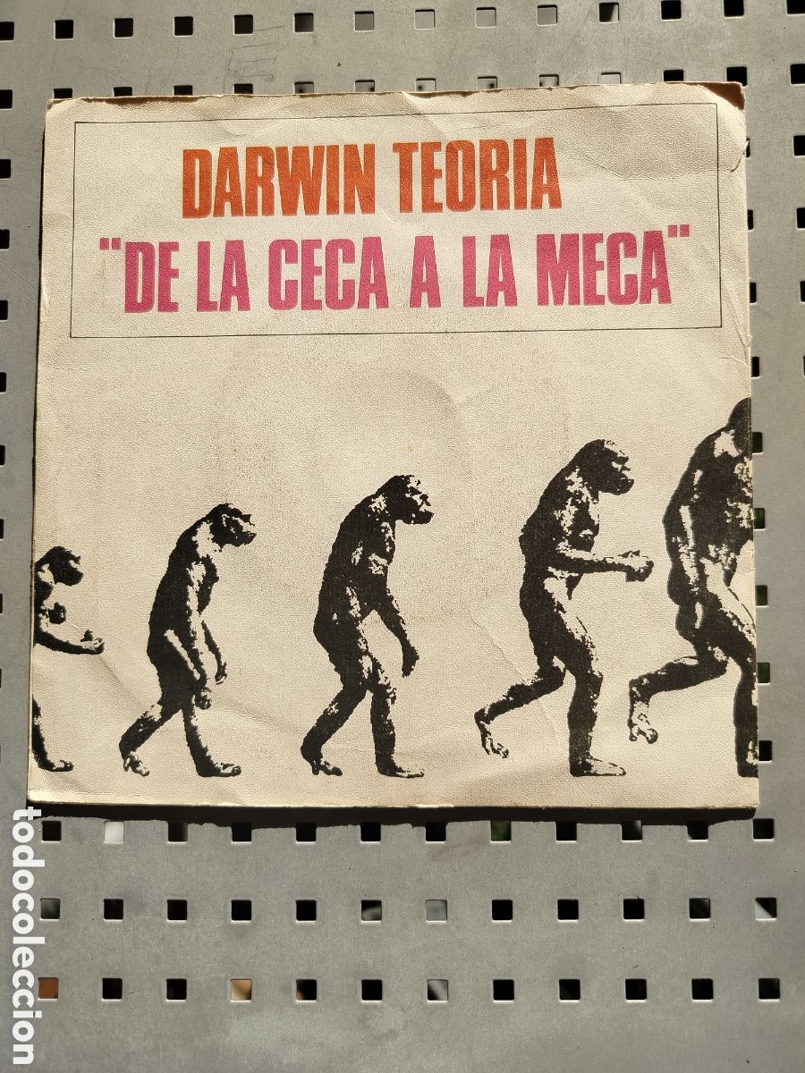 Discos de vinilo: Darwin Teoria 7&rdquo; Poplandia - Foto 1