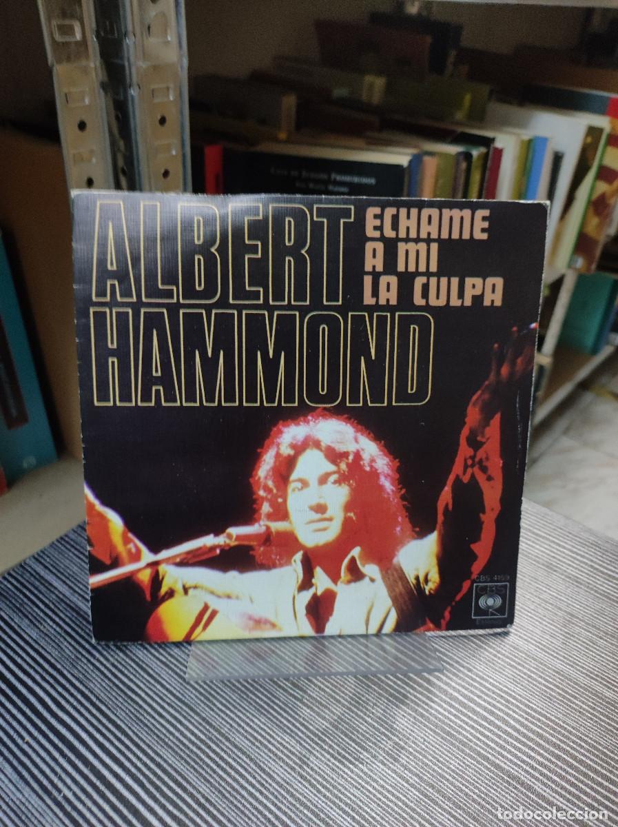 Discos de vinilo: Albert Hammond &ndash; Echame A Mi La Culpa - Foto 1