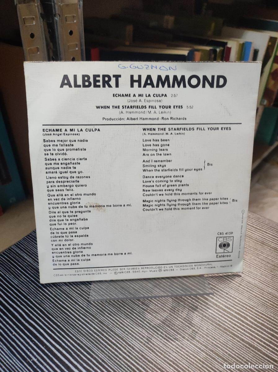 Discos de vinilo: Albert Hammond &ndash; Echame A Mi La Culpa - Foto 2