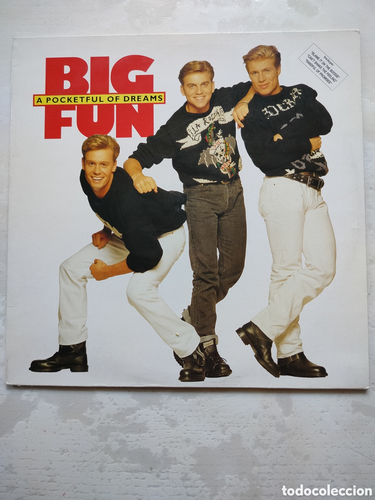 Discos de vinilo: Big Fun LP 1990 A Pocketful - Foto 1