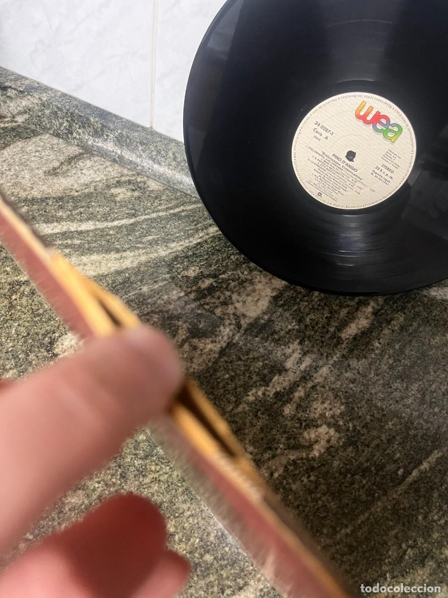 Discos de vinilo: Pino DAngio Evelonpappa, Evelonmamma - Foto 3