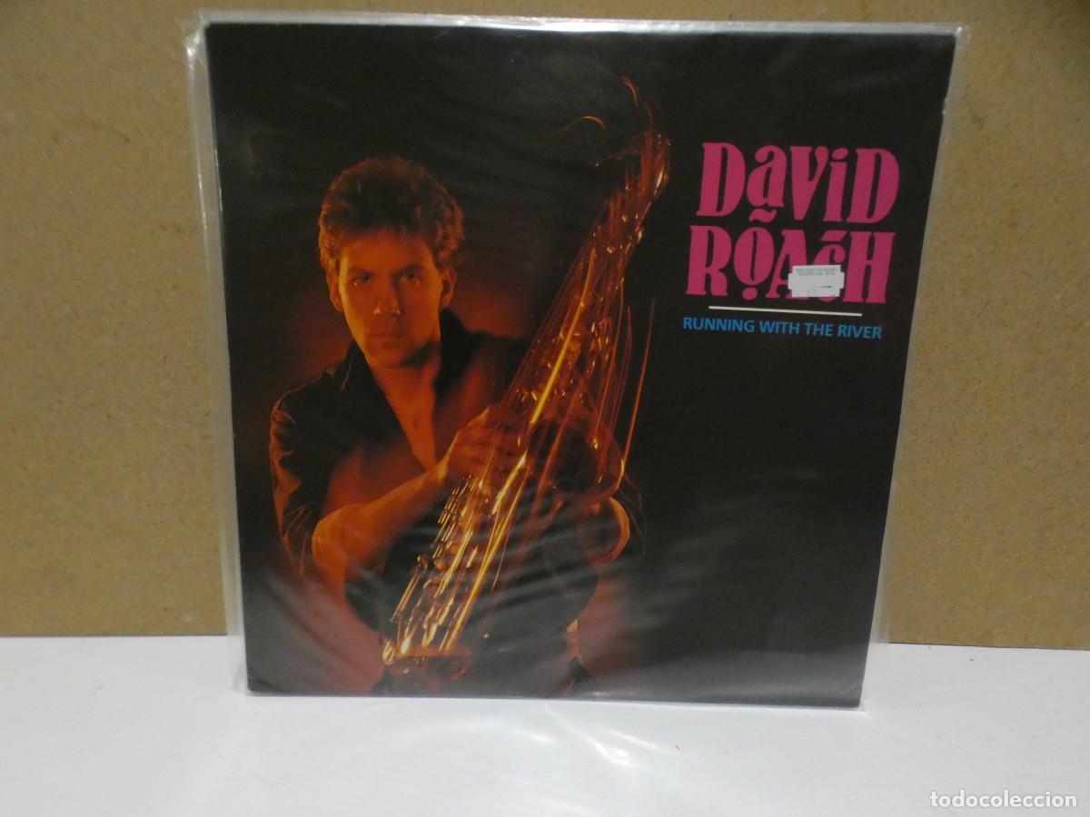 Discos de vinilo: ARKANSAS1980 BOXX468 VINILO ESTADO CORRECTISIMO - DAVID ROACH - Foto 1