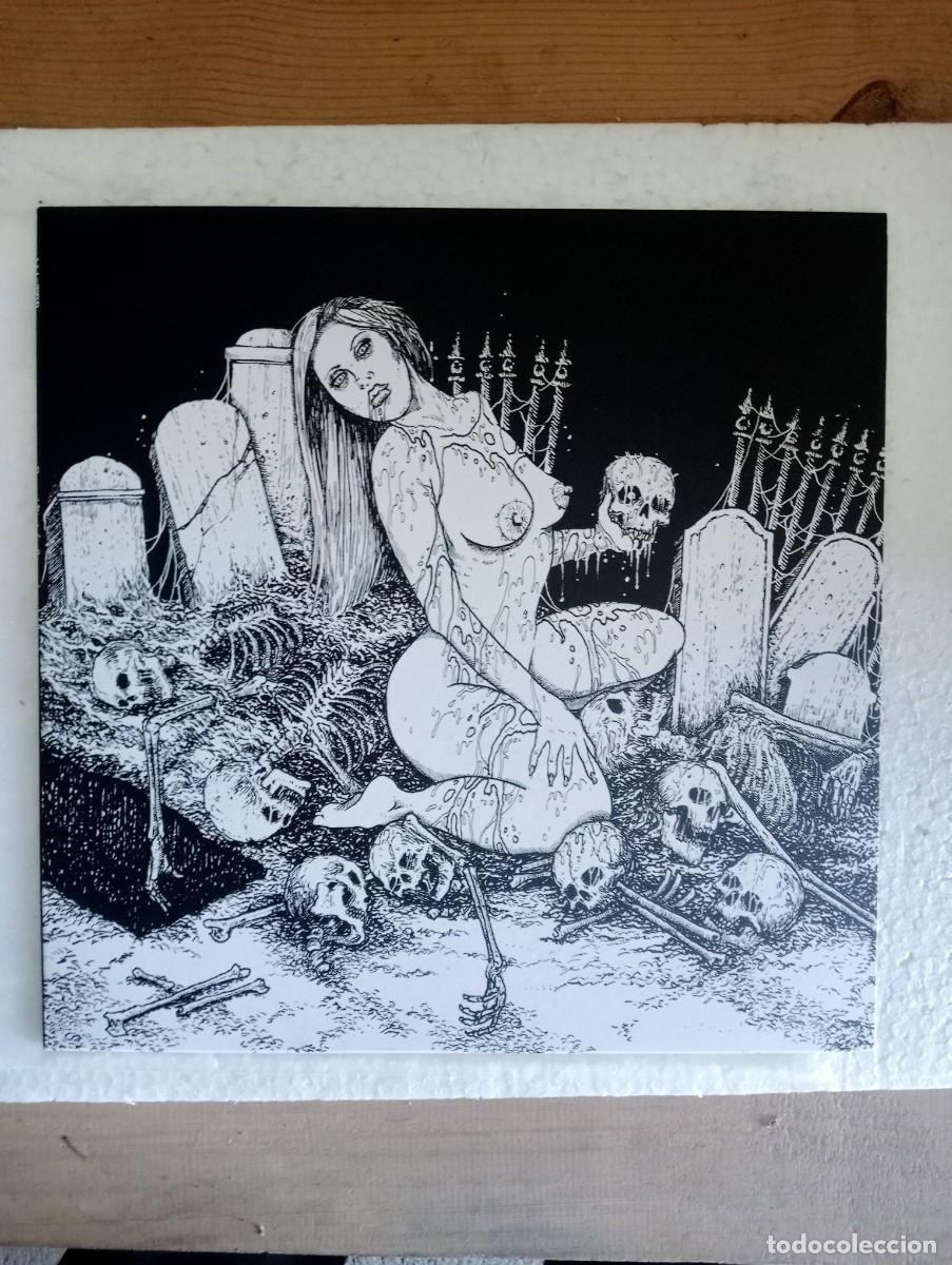 Discos de vinilo: Master - Funeral Bitch (LP, Album, RE, Whi) 2013 insert - Foto 1