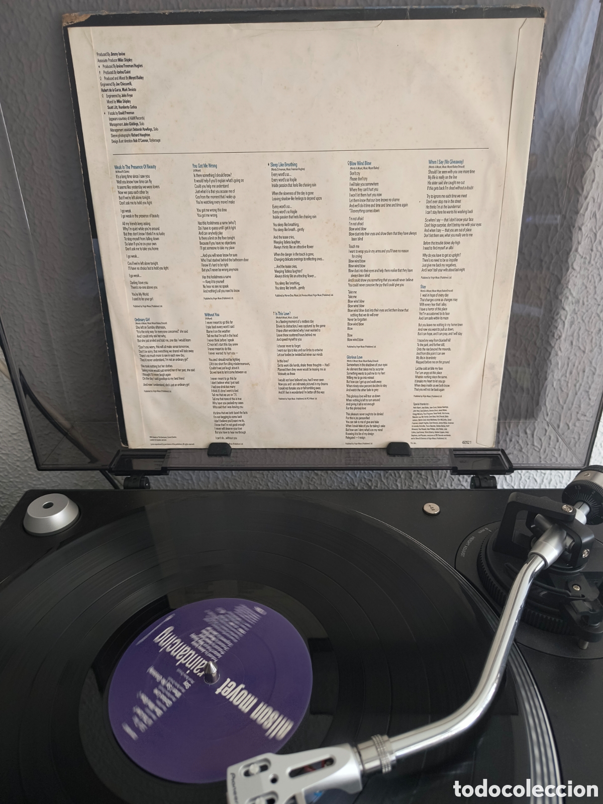 Discos de vinilo: ALISON MOYET, RAINDANCING. FUNDA INTERIOR CON LETRAS. - Foto 3