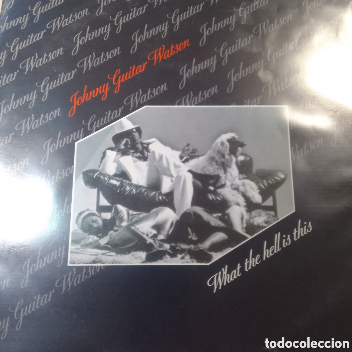 Discos de vinilo: JOHNY GUITAR WATSON WHAT THE HELL IS THIS - Foto 1